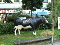 ミュンヘンで見かけた牛